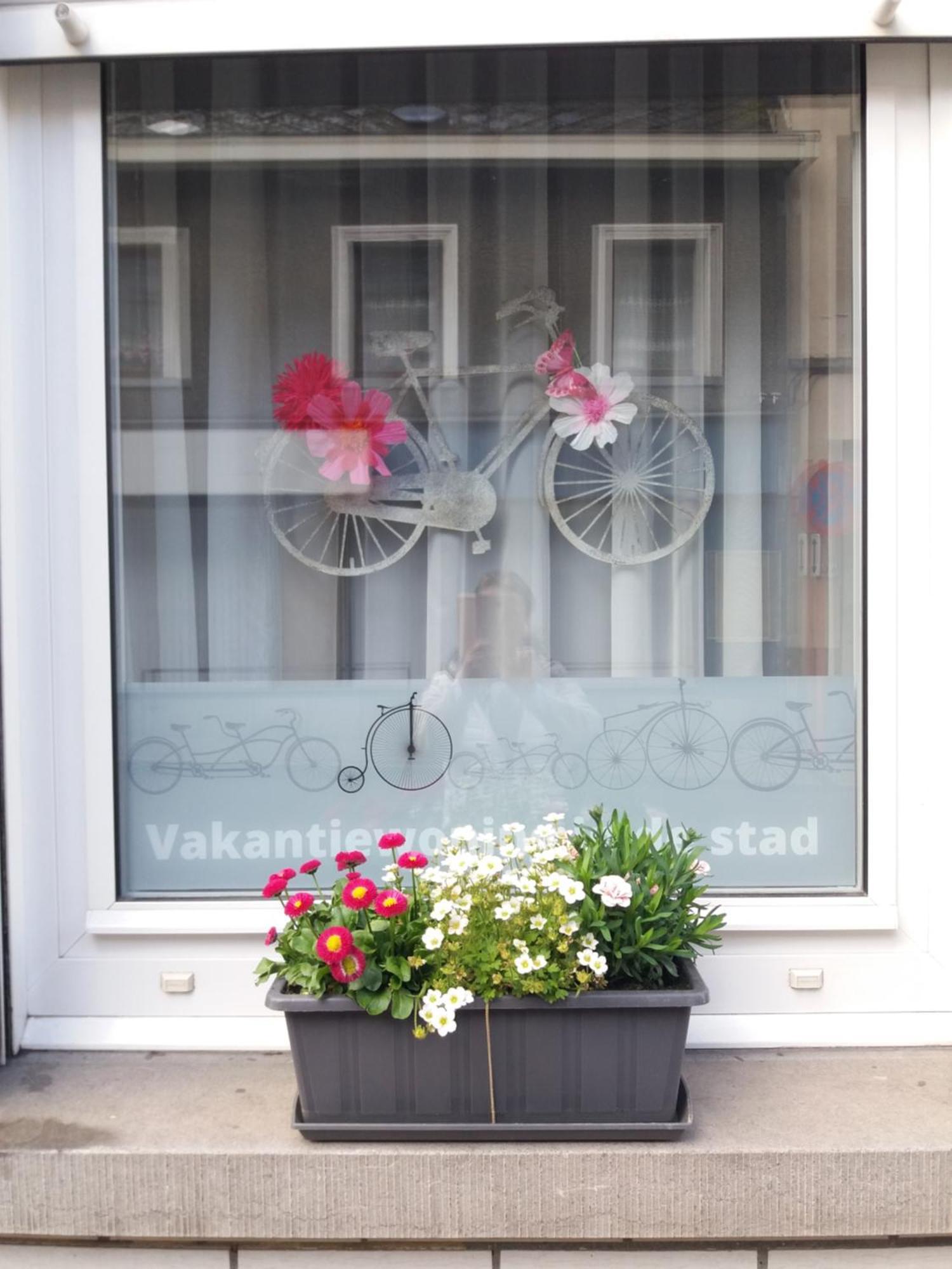 Velocipede Oudenaarde Vakantieverblijf 6 Pers (Adults Only) Εξωτερικό φωτογραφία